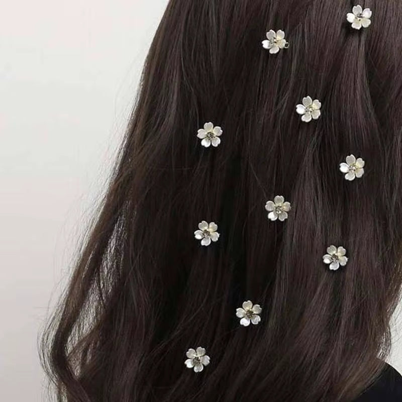 Barrettes à Cheveux - Clip Élégance 10 Pièces™