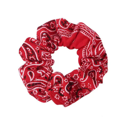 Chouchou Cheveux - Paisley™