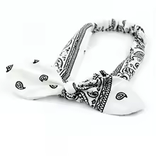 Bandeau Cheveux Femme - Paisley™