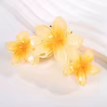 Pince Cheveux - Crabe Florale™