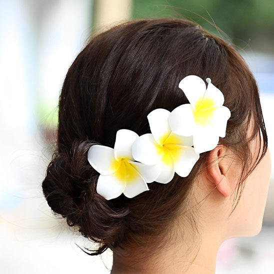 rangement style pince a cheveux fleur hawaienne 